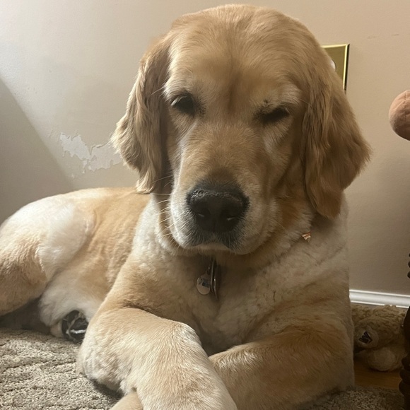 Meet your Posher, Lynn - Picture 1 of 1